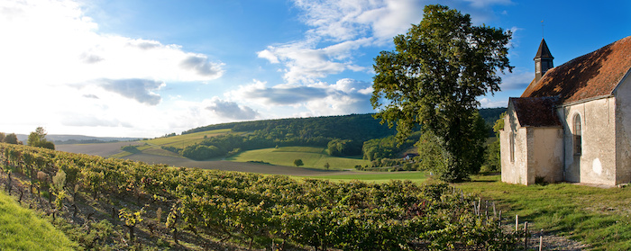Chablis vindistrikt